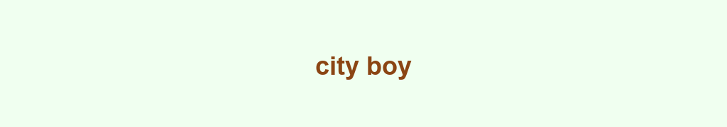 Banniere grossistes-city-boyhtml